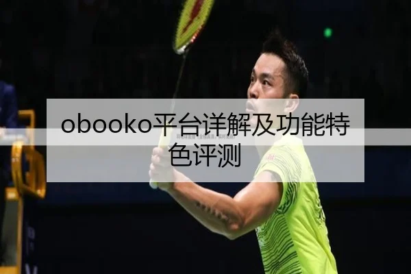obooko平台详解及功能特色评测